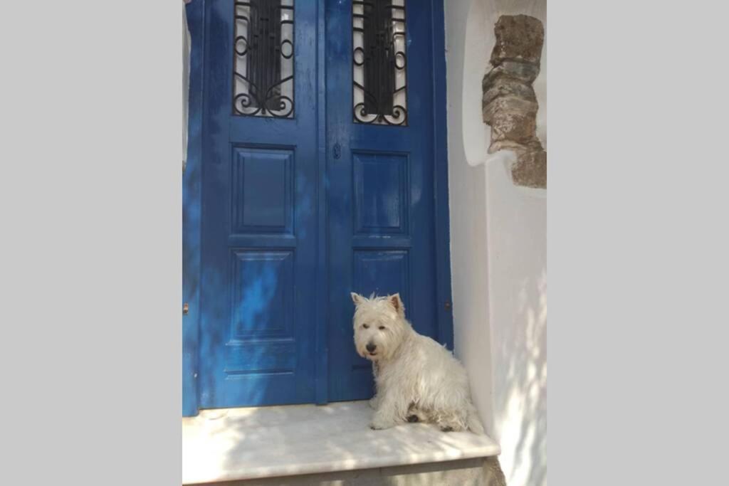 Galini  Blue & White: An Absolute Aegean Dream Houseヴィラ エクステリア 写真