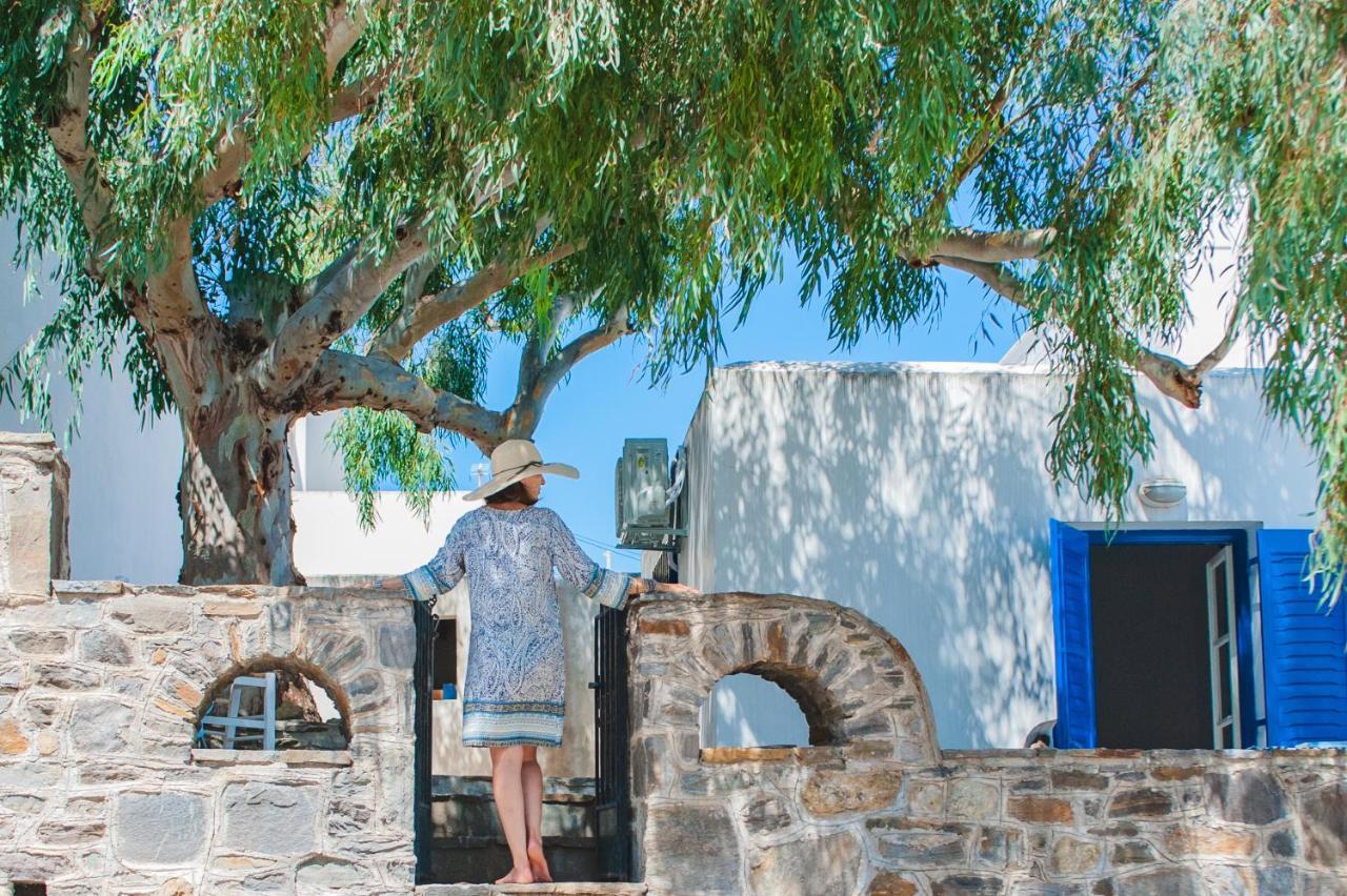 Galini  Blue & White: An Absolute Aegean Dream Houseヴィラ エクステリア 写真